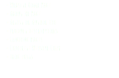 Website Home Page About Me Page Artist or Author Bio Product descriptions Landing pages Complete Website Copy Blog posts 